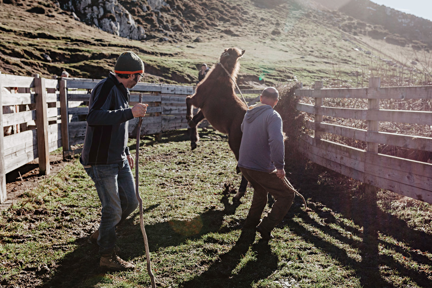 Rutas a caballo en Asturias