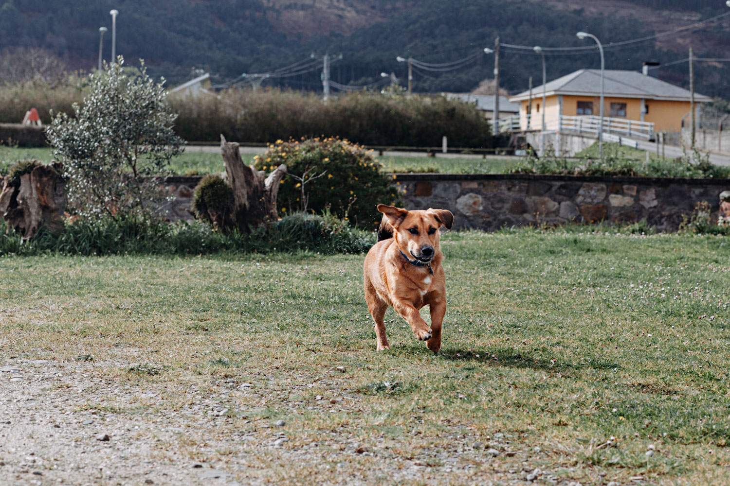 Excursión por Asturias