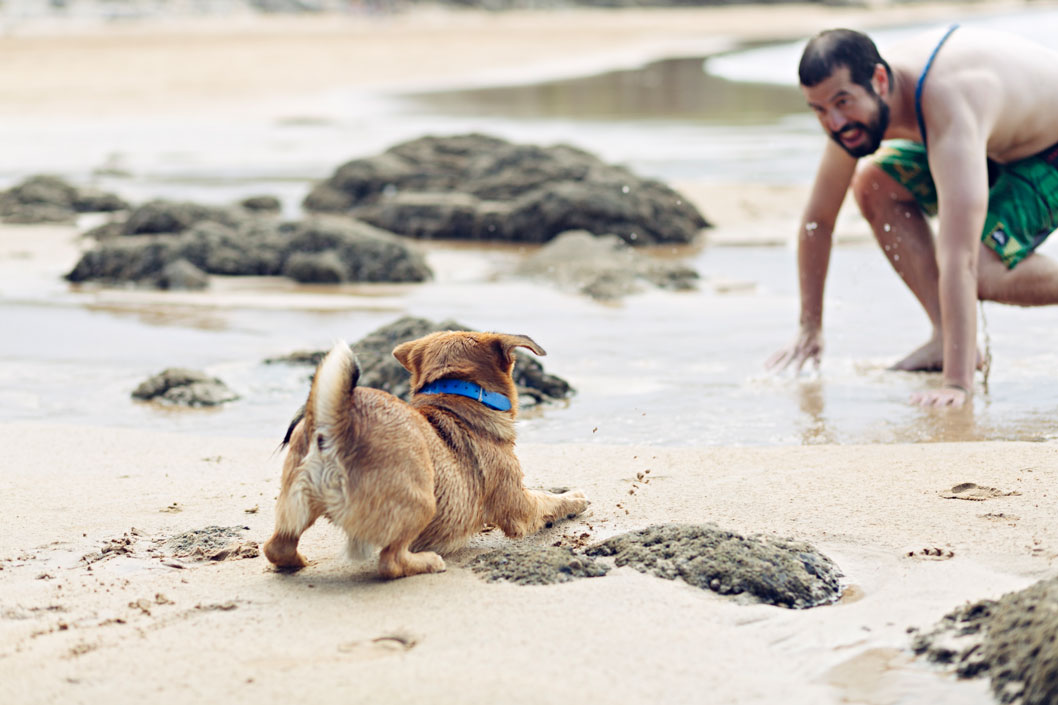 Fotografía de mascotas en Asturias