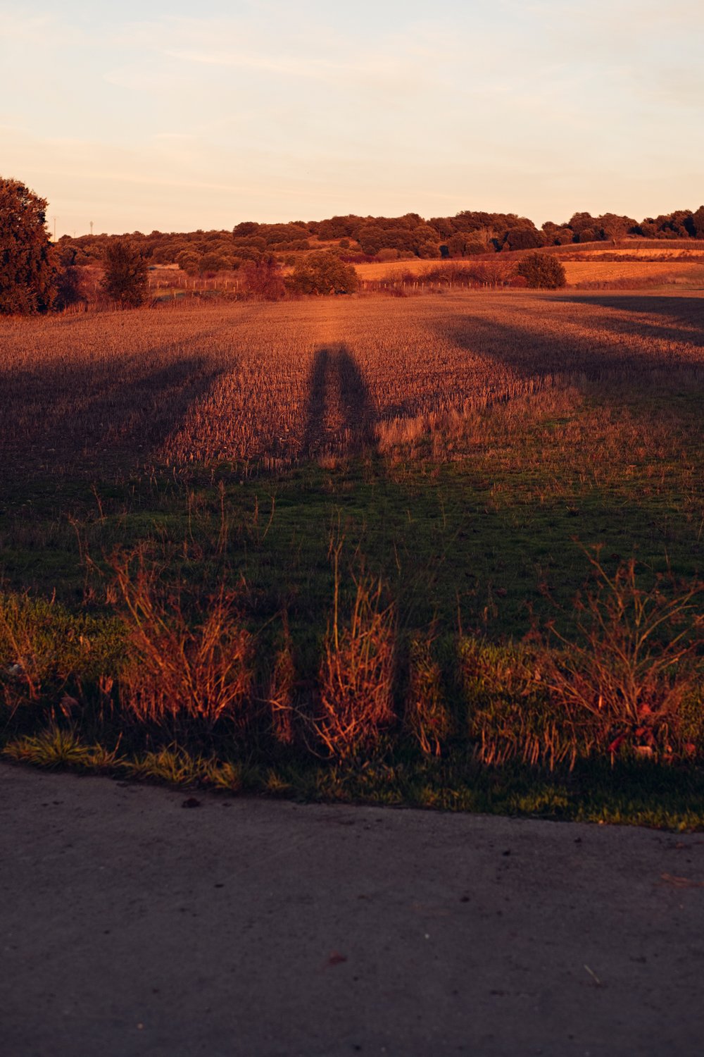 Fotografía del paisaje castellano