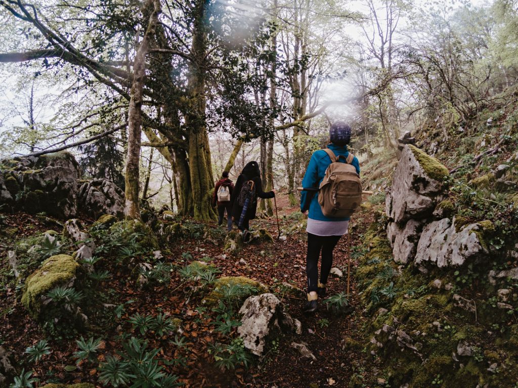 Bosques asturianos