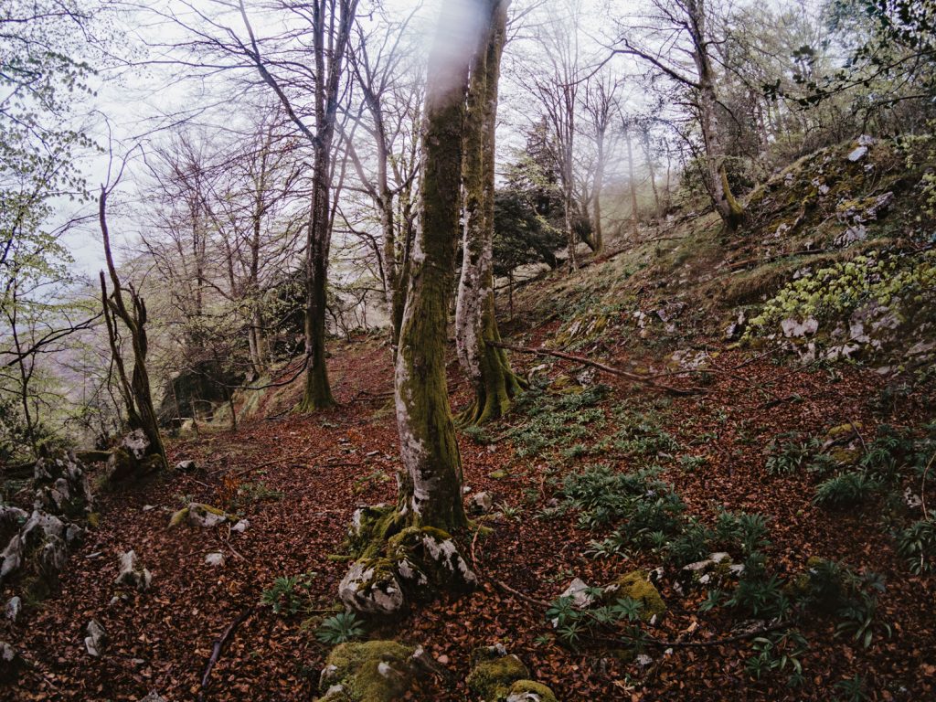 Fotografía del paisaje asturiano