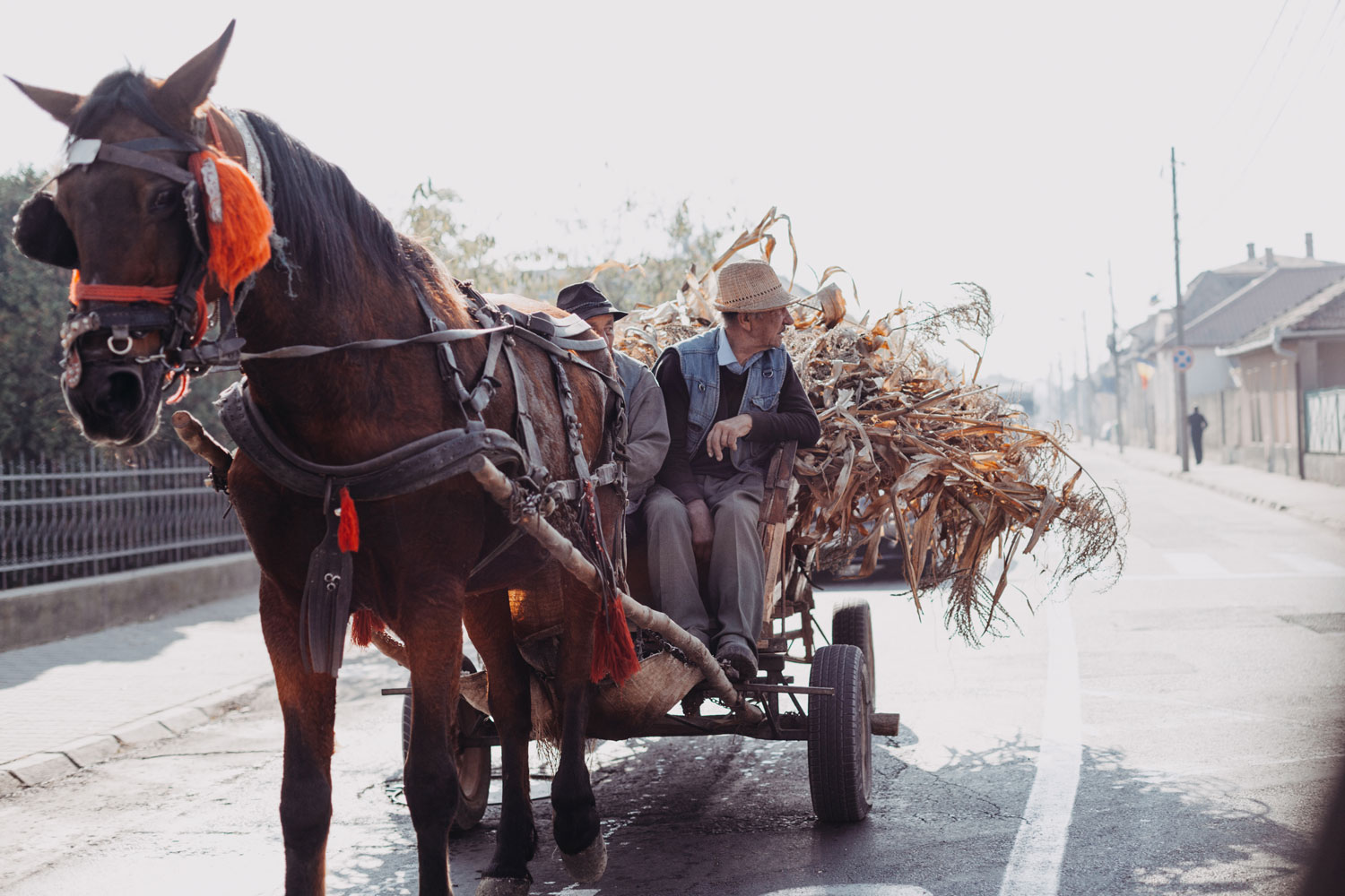 Viaje por Rumanía