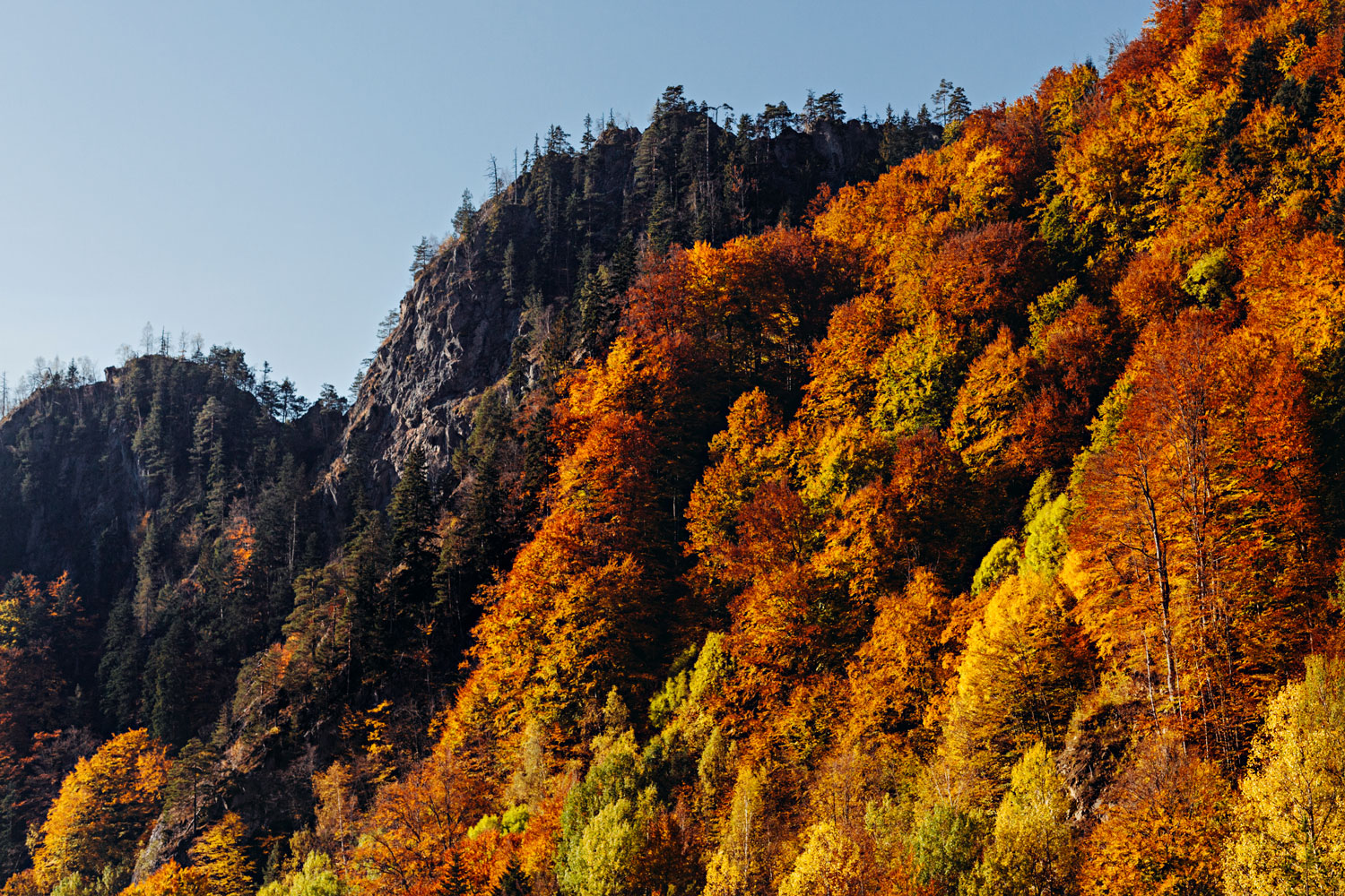 Colores de otoño