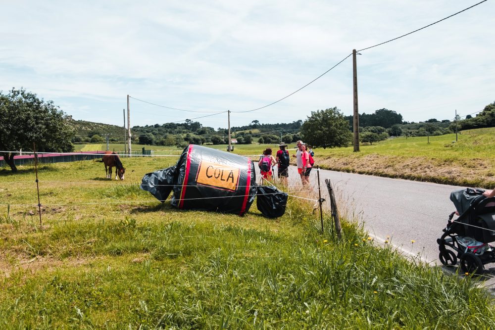 Festival artístico en Asturias