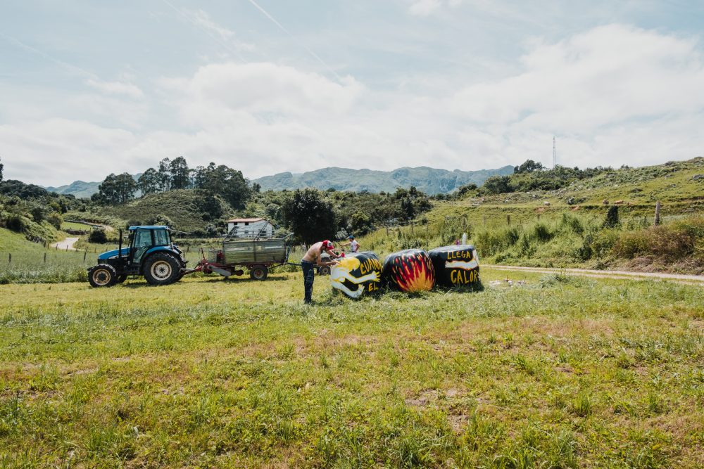 Arte en el campo